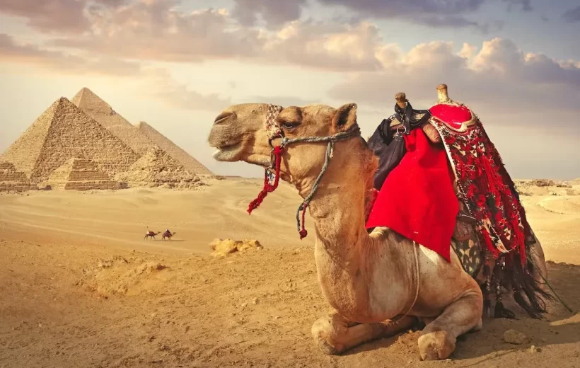 Excursión de un día a El Cairo desde Asuán en avión - ADT001