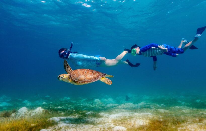 Sonrkeling in Hurghada From Safaga