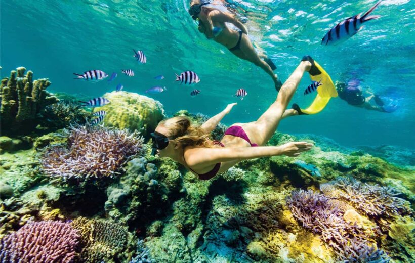 Snorkeling Trip At Port Ghalib Marina from Marsa Alam - MADT006