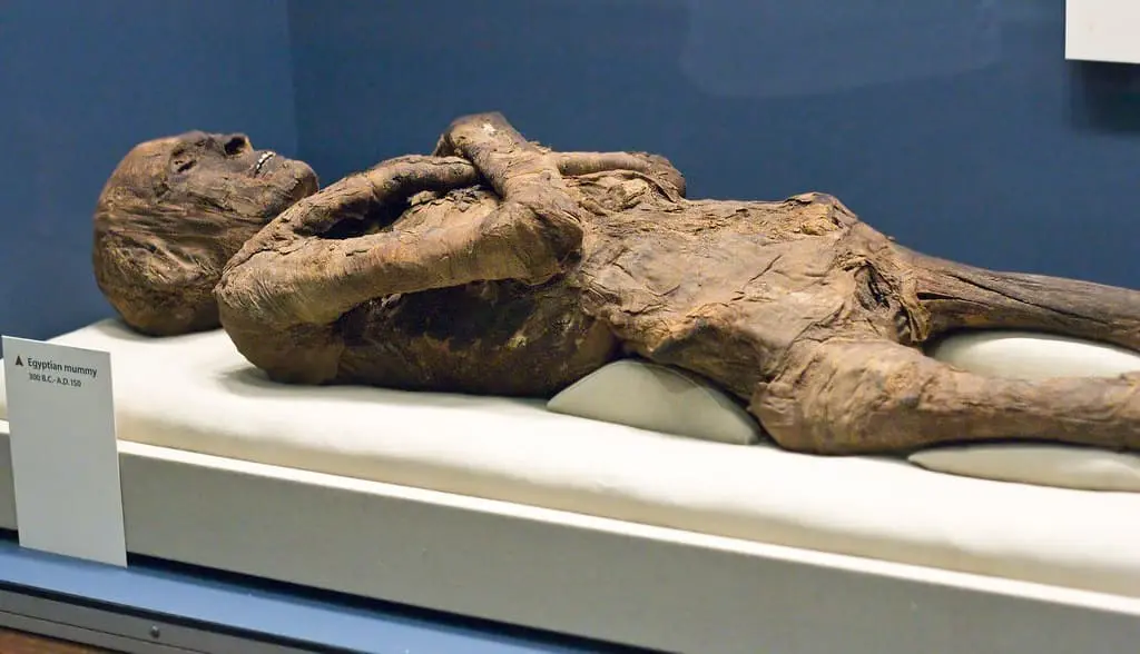 Mummification Museum Luxor