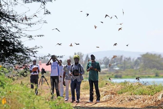 Observación de aves en Asuán - ADT015