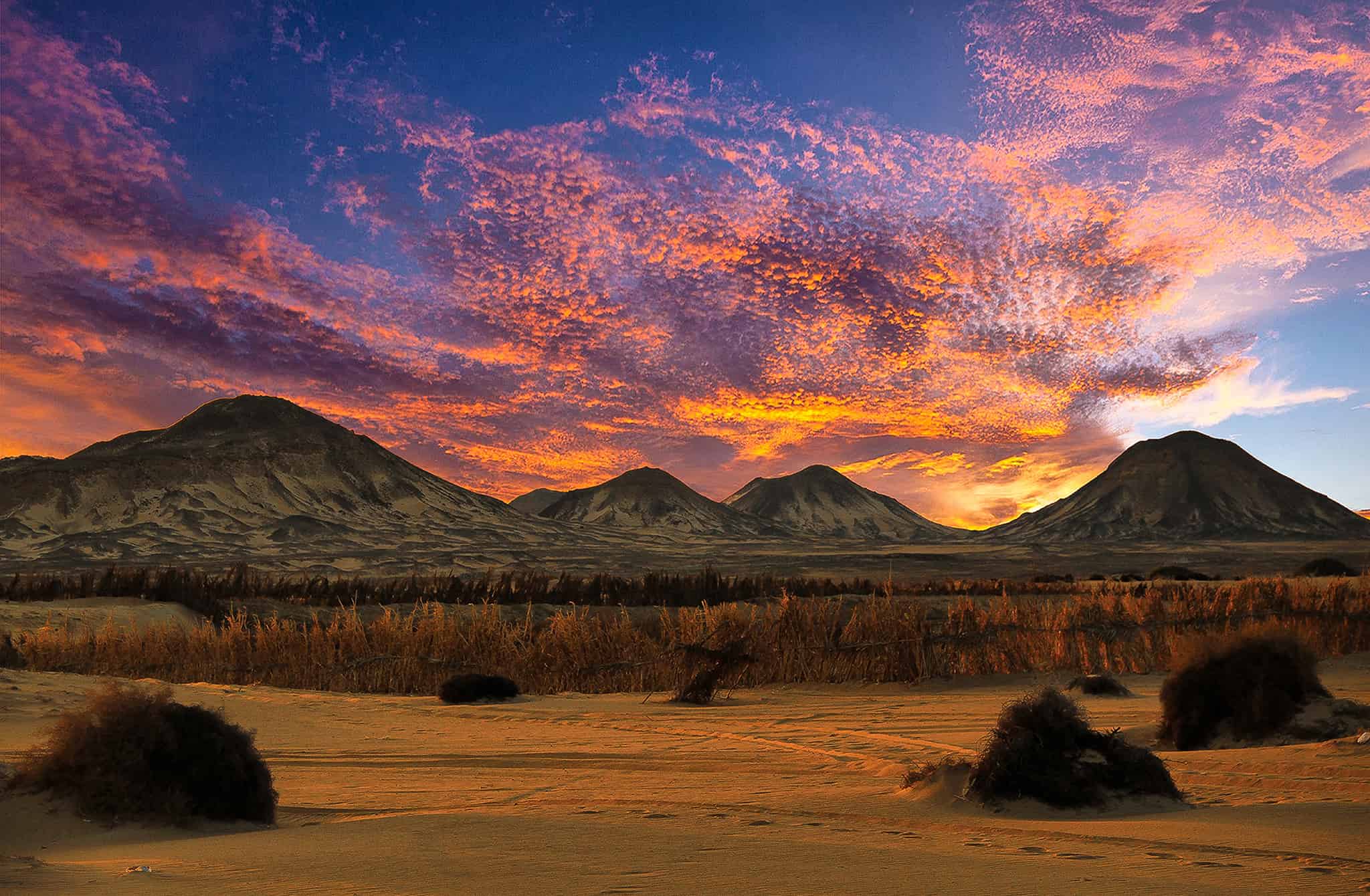 Black Desert