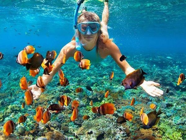 Diving in Hurghada