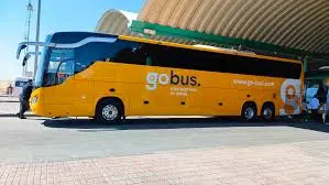 Go Bus, Egypt