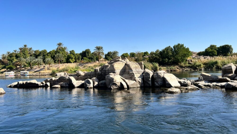 mohamed shokr wNAQfLrxmGA unsplash x