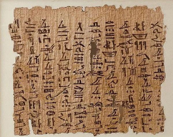 Genuine Papyrus