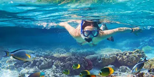 Discover the Beauty of the Red Sea
