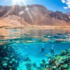 Diving in the Red Sea
