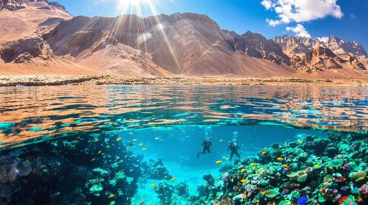 Diving in the Red Sea