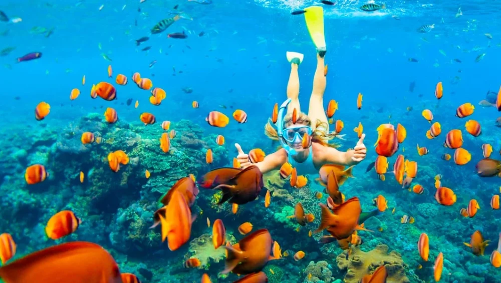 Snorkeling in Hurghada
