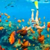 Snorkeling in Hurghada